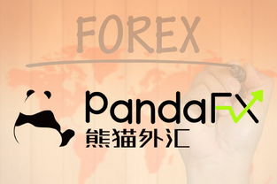 外匯交易資產(chǎn)管理進(jìn)階指南 構(gòu)建穩(wěn)健的投資框架