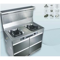集成環保灶批發 集成環保灶供應 集成環保灶廠家 
