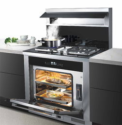 一個好的集成灶應(yīng)該具備哪些 大吸力 易清洗......